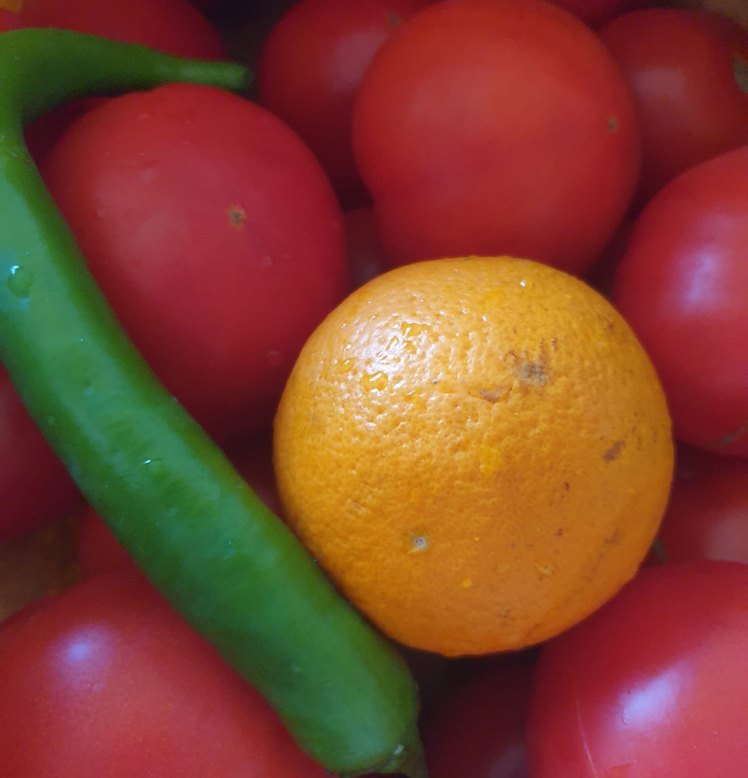 VITAMINA C